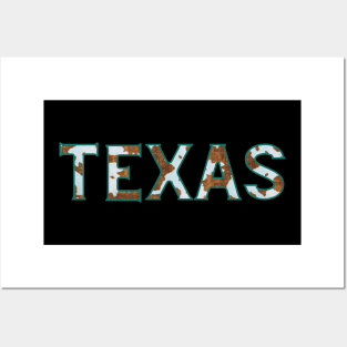 Cowhide "Texas" Letters Posters and Art